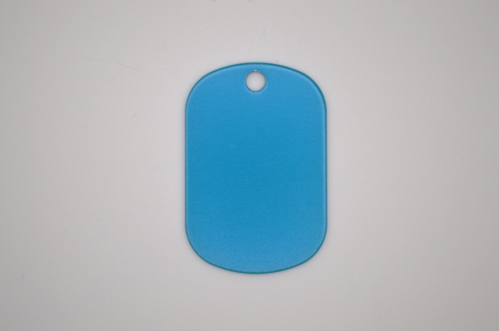 Pet Contact LIGHT BLUE Keychain My Pet Is Home Alone Key Ring with Contact card